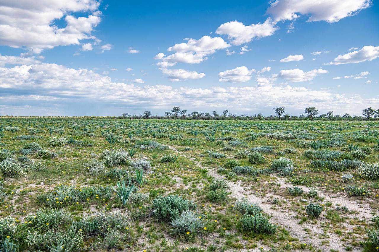 Farmstay Okakeua Окаханджа Екстериор снимка